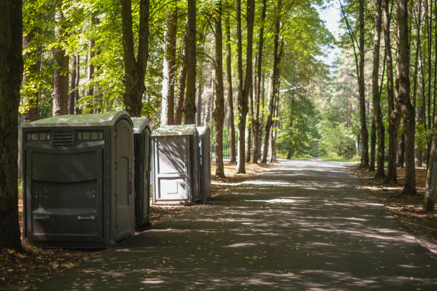 Best Porta potty rental for festivals  in Chetek, WI